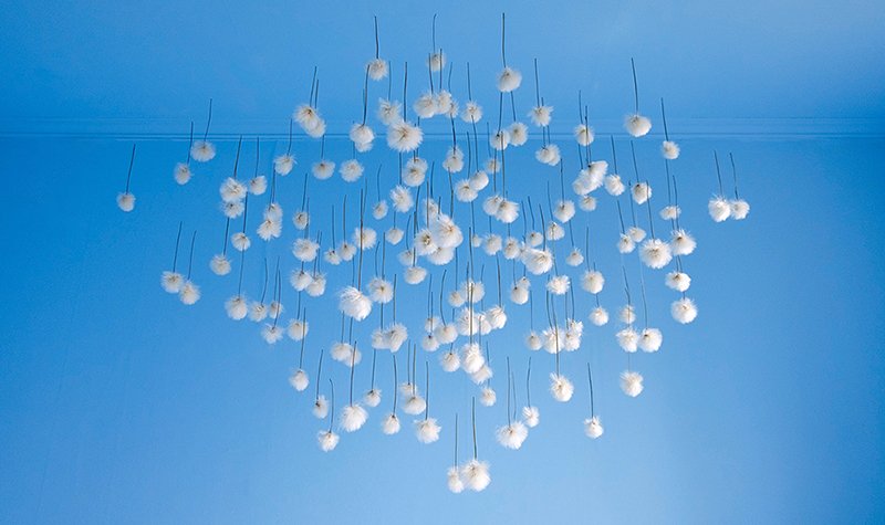 Bolatta Silis-Høegh, Ukaliusat, 2019. Arctic cotton grass