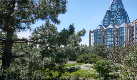 Taiga garden designed by Cornelia Hahn Oberlander at the National Gallery of Canada. Photograph